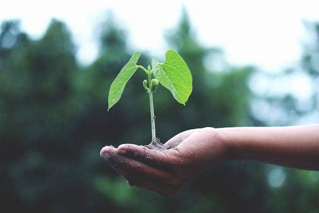 greenearth Image